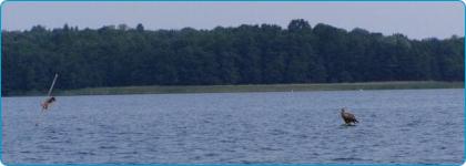 na-mazurach.pl - Wielkie Jeziora Mazurskie - Dargin - przewodnik, interaktyna mapa Mazur